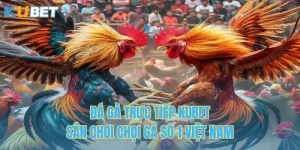 Đá Gà Trực Tiếp Kubet